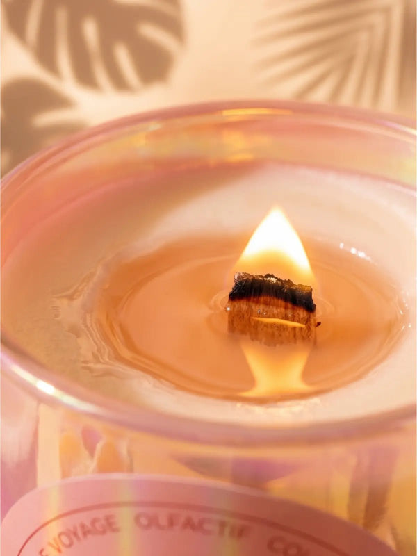 Sun - Kissed Paradise - Scented Candles by Earth & Essence